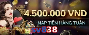 sv838