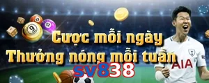 sv838